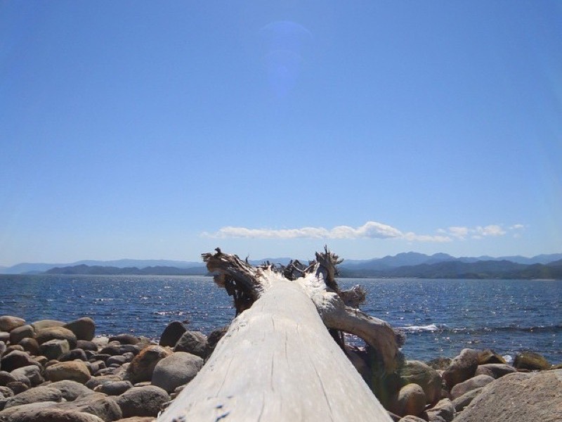出羽島
